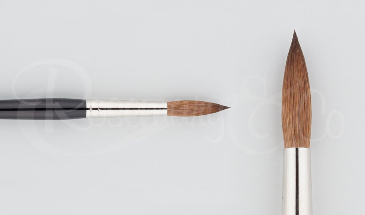 ROSEMARY & CO Jean Haines Watercolour - Pure Kolinsky Sable - Round Size 12 (8.1 x 33.3mm)