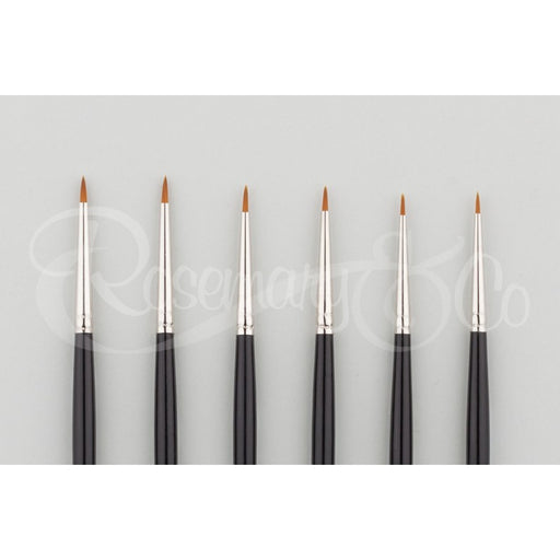 ROSEMARY & CO - Anna Mason Basic Set - Synthetic Watercolour Brushes (Size 30
