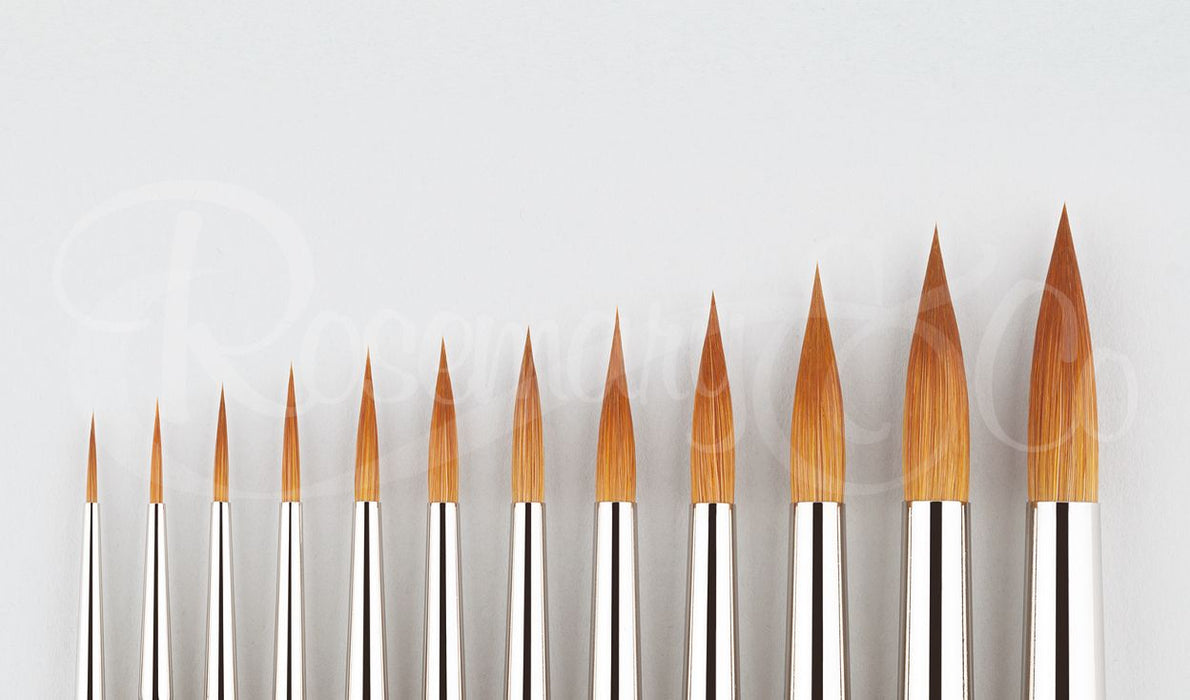 ROSEMARY & CO Watercolour Brush - Series 402 - Red Sable Blend - Designer Pointed Round - Size 12 (7.7 x 33.5mm)