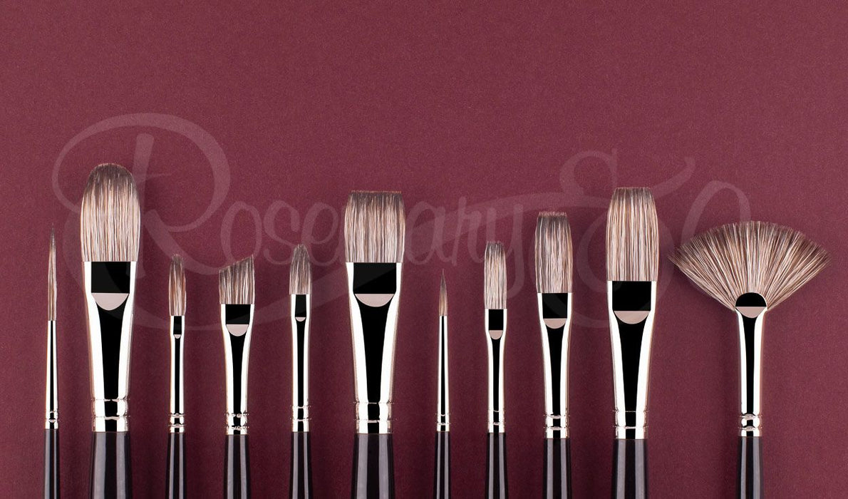 ROSEMARY & CO Set 170 - Master's Choice for Oils - Badger - Long Handle (11 Brushes)