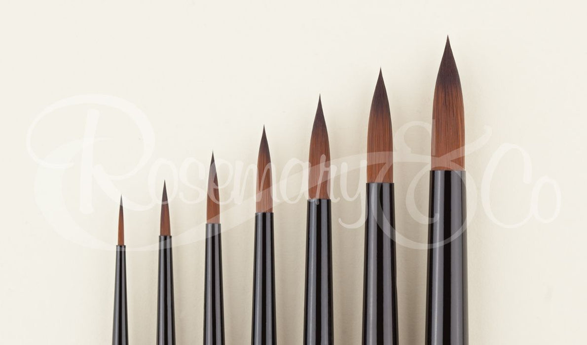 ROSEMARY & CO - Set 40 - Beginner Watercolour Brushes (8 Brushes)