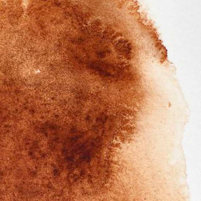 WINSOR & NEWTON Professional Watercolour - 14mL - Burnt Umber