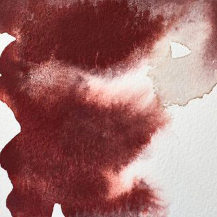 WINSOR & NEWTON Professional Watercolour - 14mL - Caput Mortuum Violet