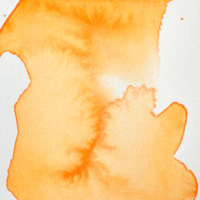 WINSOR & NEWTON Professional Watercolour - 14mL - Cadmium Orange