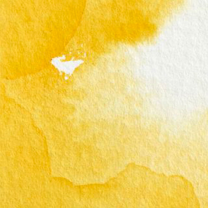 WINSOR & NEWTON Professional Watercolour - 14mL - Cadmium Yellow