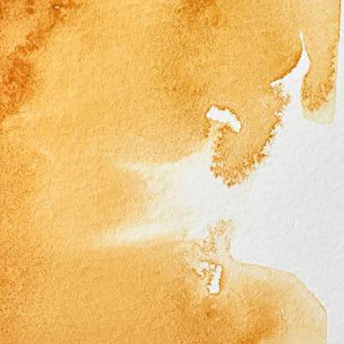 WINSOR & NEWTON Professional Water Colour - 14mL - 552 Raw Sienna (PR101)