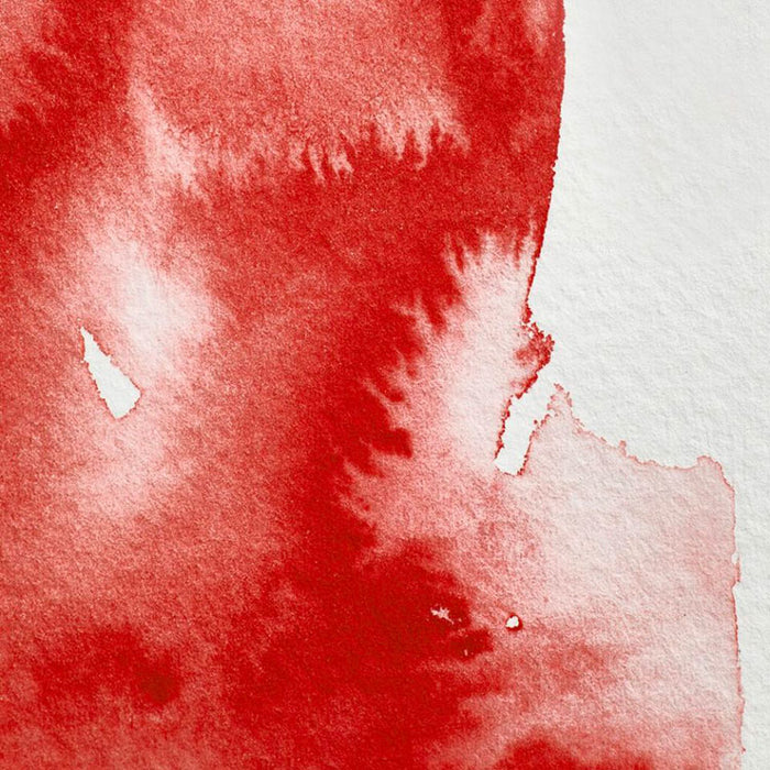 WINSOR & NEWTON Professional Watercolour - 14mL - Winsor Red