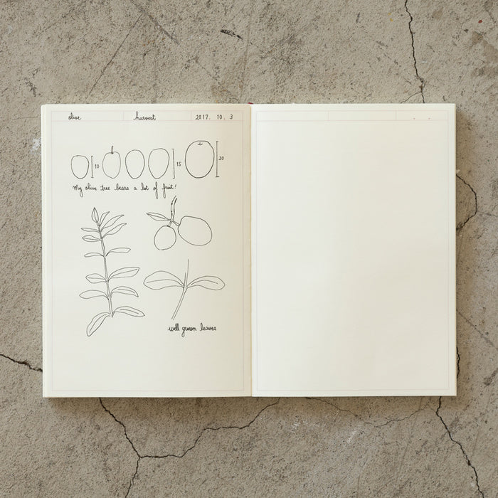 MIDORI - Notebook Journal with Frame - 192 Pages - Plain - A5