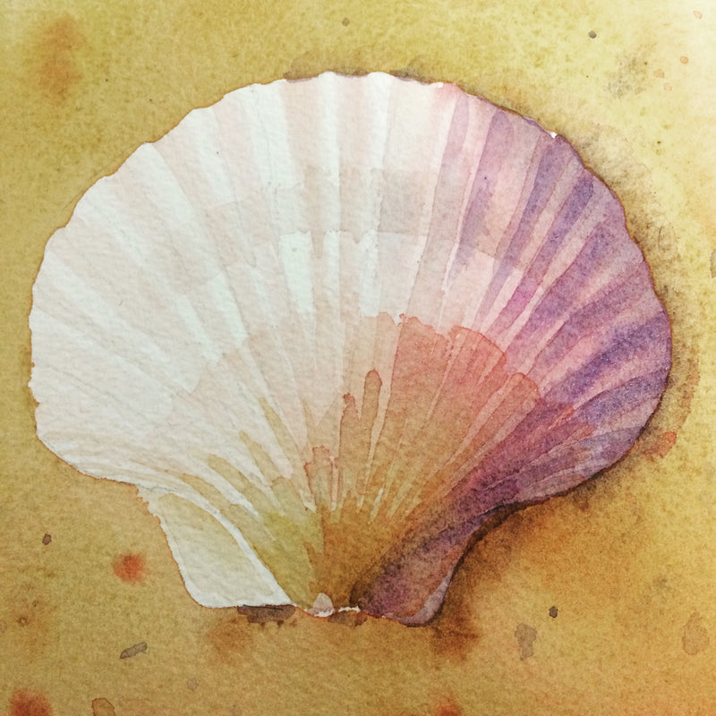 jenny-gilchrist-shell