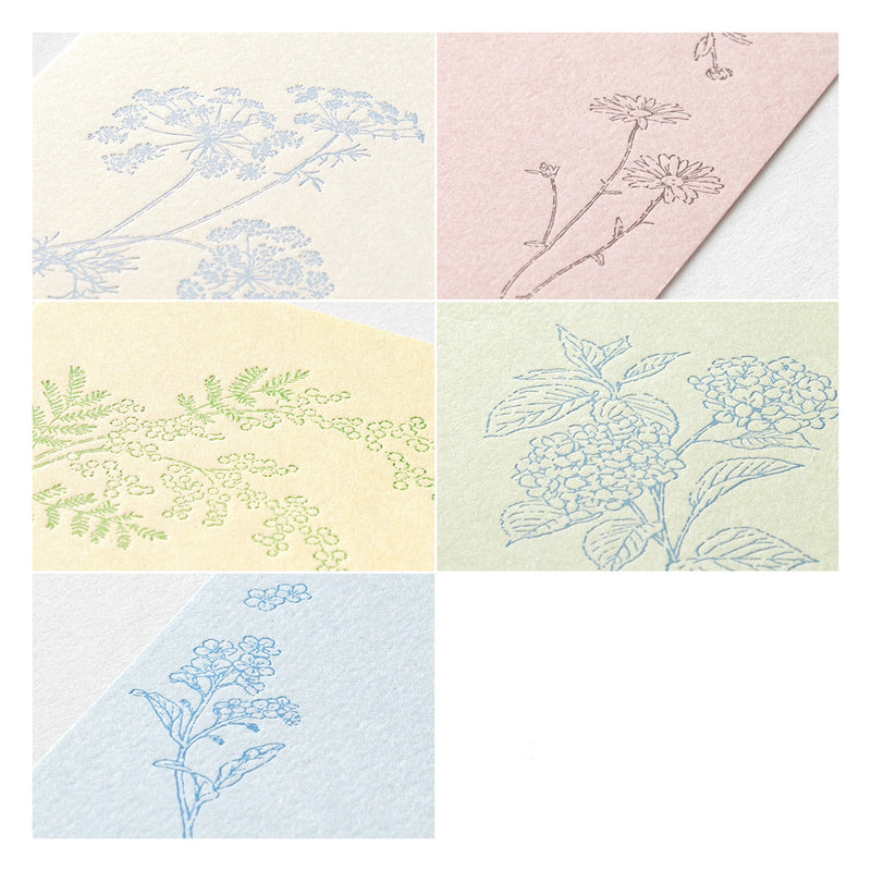 MIDORI - Washi Postcards - Floral Design - Pack of 10