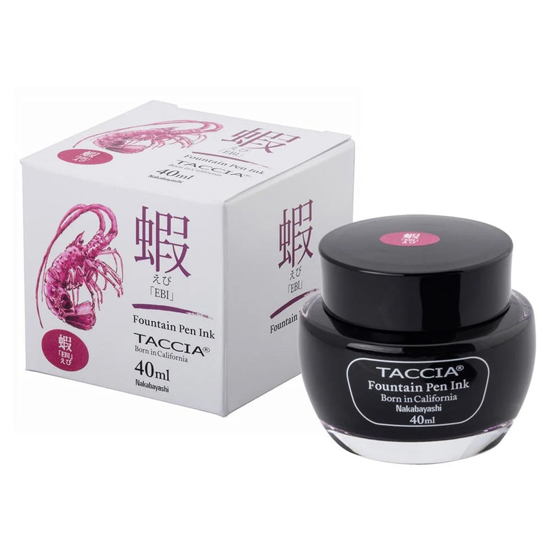 TACCIA Sunao-iro Fountain Pen Ink - 40mL - Ebi (Purple Red)