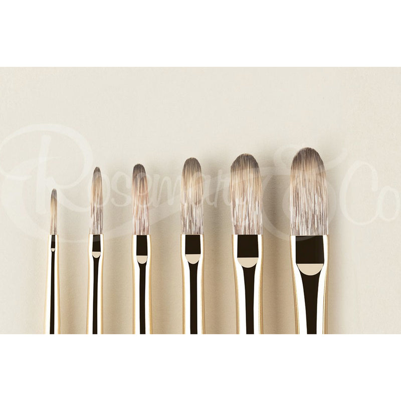 ROSEMARY & CO Brushes - Eclipse - 100% Synthetic - Long Filbert - Long Handle - Various Sizes