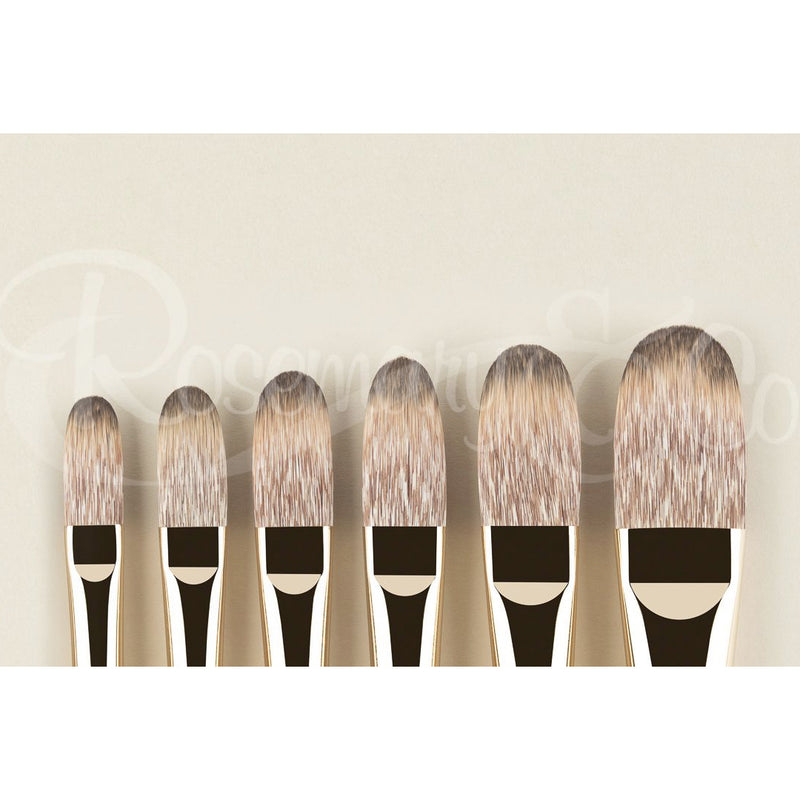 ROSEMARY & CO Brushes - Eclipse - 100% Synthetic - Long Filbert - Long Handle - Various Sizes