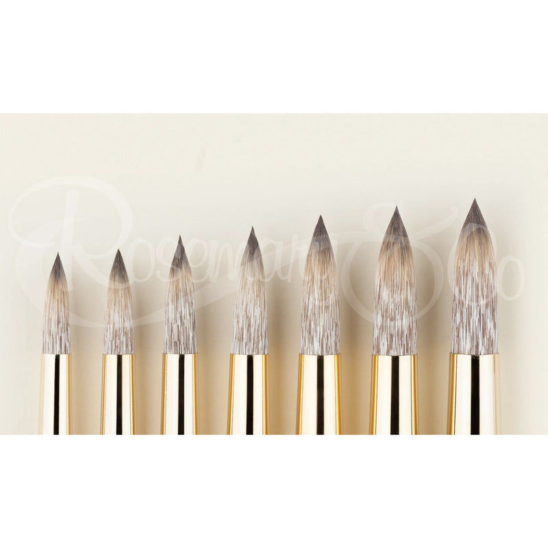 ROSEMARY & CO Brushes - Eclipse - 100% Synthetic - Pointed Round - Long Handle - Various Sizes