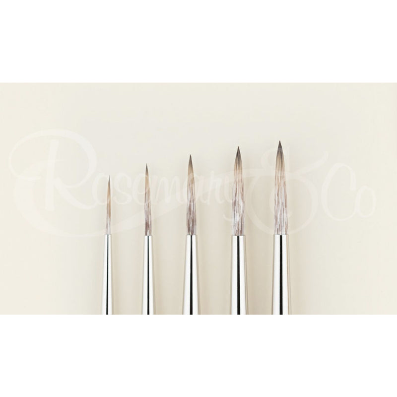 ROSEMARY & CO Brushes - Eclipse - 100% Synthetic - Rigger - Long Handle - Various Sizes