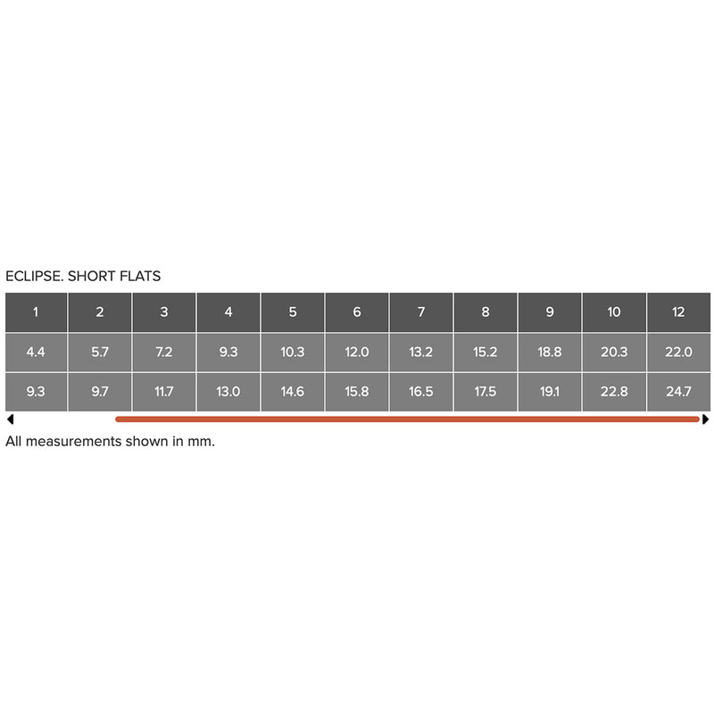 ROSEMARY & CO Brushes - Eclipse - 100% Synthetic - Short Flat - Long Handle - Various Sizes