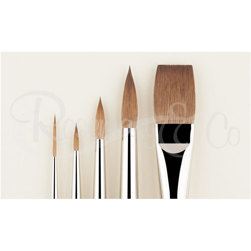 ROSEMARY & CO Brush - Set 80 - Pure Red Sable Watercolour Brushes - Set 5 (4, 8, 12, #2 Rigger, 3/4" One Stroke)