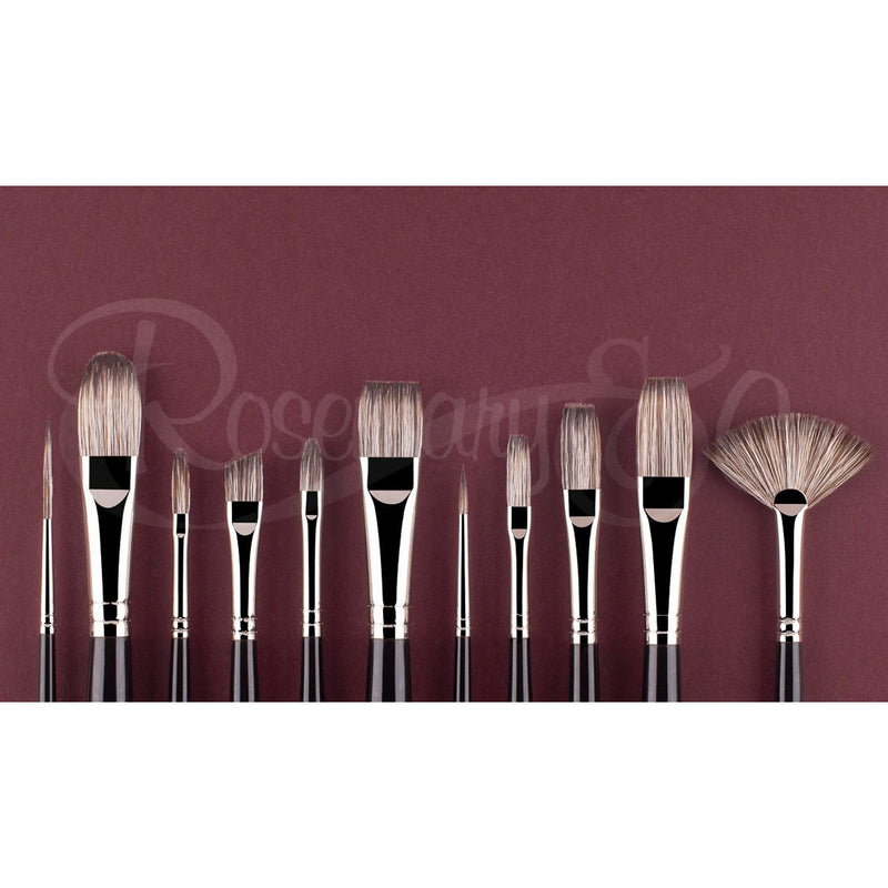 ROSEMARY & CO Set 170 - Master's Choice for Oils - Badger - Long Handle (11 Brushes)