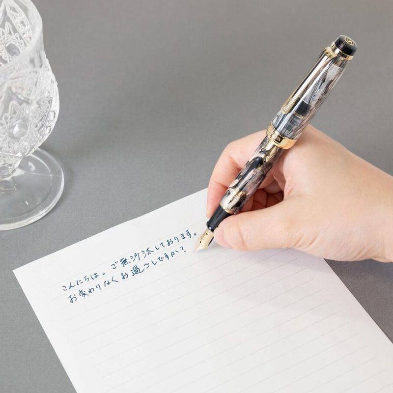 SAILOR Veilio Prof Gear (21k nib & converter) - Pearl Black / Gold Trim