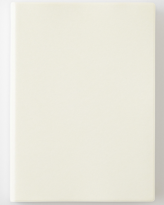 2027 MIDORI - Daily Diary Planner - Soft Cover - Medium (A5)