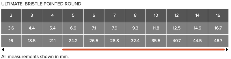 ROSEMARY & CO Brushes - Ultimate Bristle - Pointed Round - Long Handle - Various Sizes