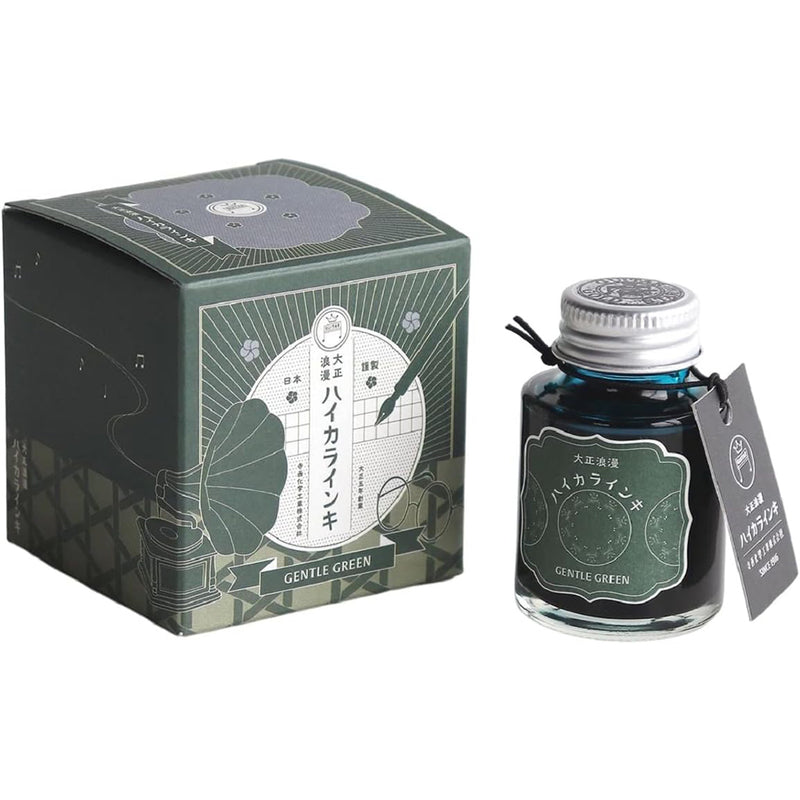 TERANISHI Haikara Fountain Pen Ink - 40mL - Gentle Green