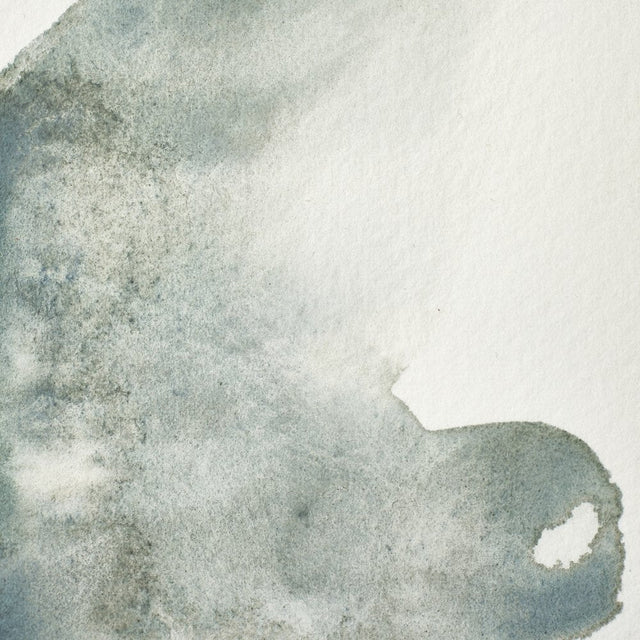 WINSOR & NEWTON Professional Watercolour - 14mL - 427 Mineral Grey Lapis (PBk19,PW5,PB29)
