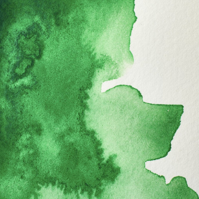 WINSOR & NEWTON Professional Watercolour - 14mL - 420 Cinnabar Green (PY138,PG36)