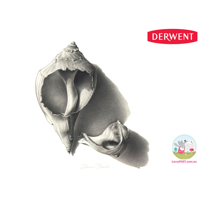 DERWENT 12 Graphic Soft (Sketching Set)