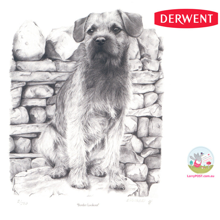 DERWENT 12 Graphic Soft (Sketching Set)