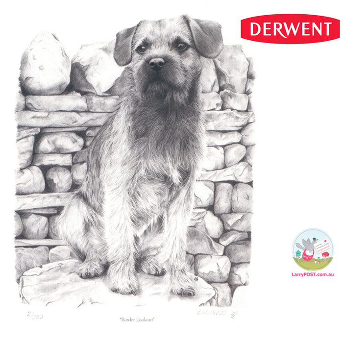 DERWENT 12 Graphic Soft (Sketching Set)