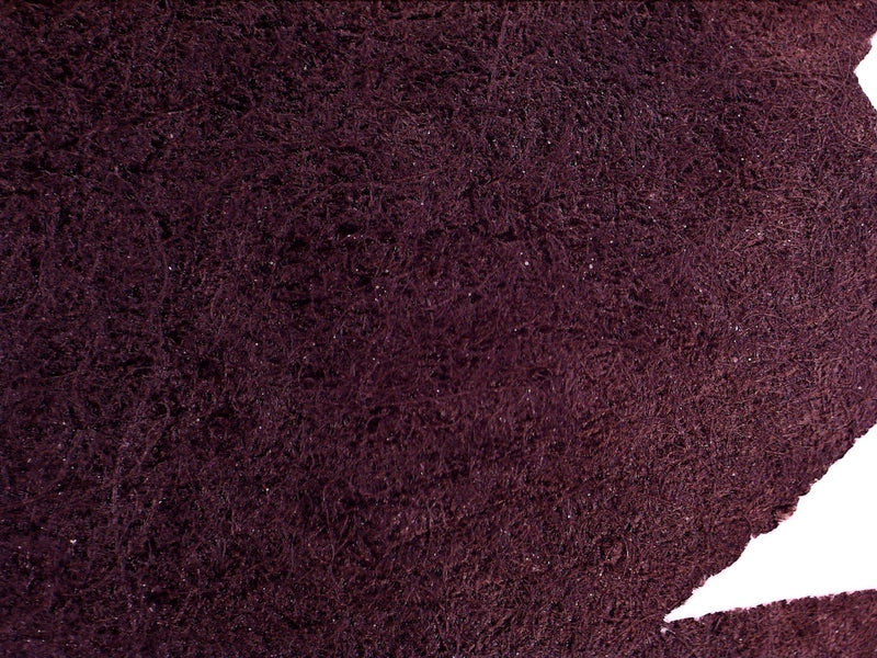 DE ATRAMENTIS Archive Ink under the microscope
