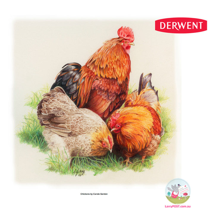 DERWENT Coloursoft Pencils Tin 24 Asst