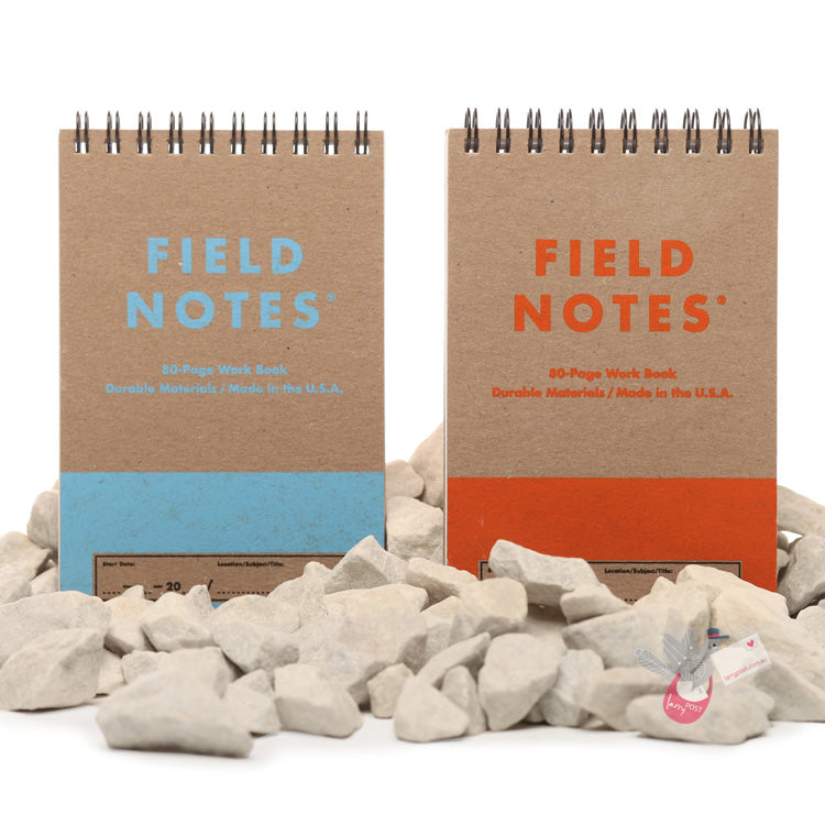 FIELD NOTES Heavy Duty - Set of 2 - Pocket (A6 9x13cm) - Ruled and Grid Pages