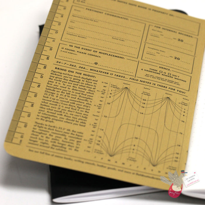 FIELD NOTES Pitch Black - Set of 2 - Medium (12 x 19cm) - Dot Grid