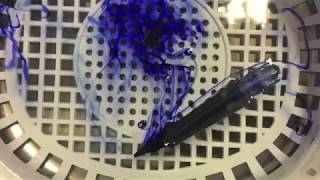 Fountain Pen Cleaning & Nib Tuning 
