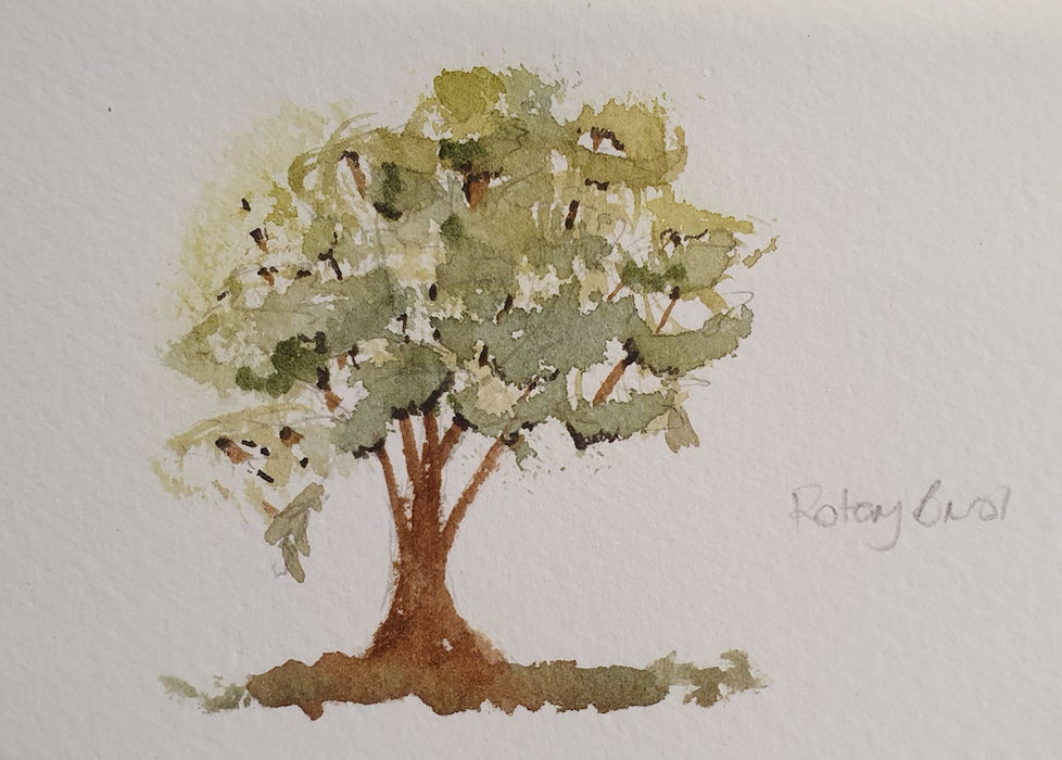 Quick tree sketch with foliage done with Rotary brush