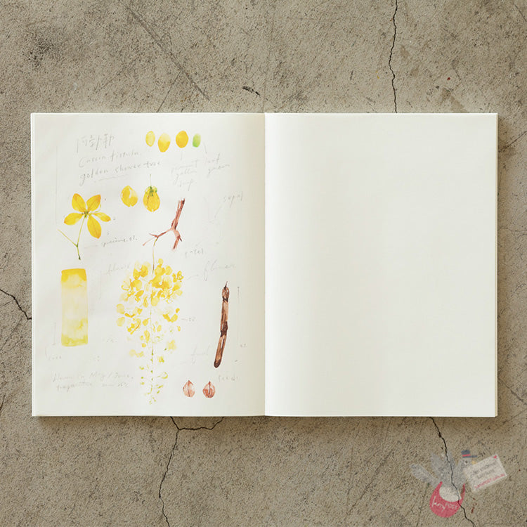 MIDORI - MD Notebook Cotton - 200 Pages - Plain Pages - F3 Size