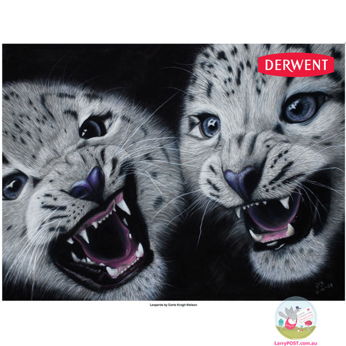 DERWENT Pastel Collection Wooden Box Set 29