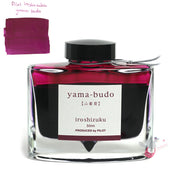 PILOT Iroshizuku Ink - 50mL - Yama-Budo (Crimson Glory Vine)