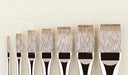 ROSEMARY & CO Eclipse - Long Handle Brush - 100% Synthetic - Extra Long Comber - 1/4" (7.65 x 22.1mm)