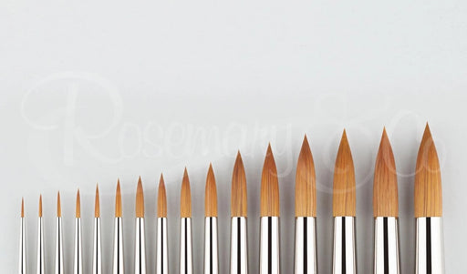 ROSEMARY & CO Watercolour Brush - Series 401 - Red Sable Blend - Pointed Round - Size 12