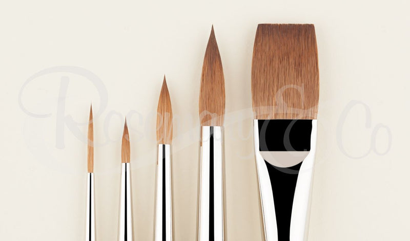 ROSEMARY & CO Brush - Set 80 - Pure Red Sable Watercolour Brushes - Set 5 (4, 8, 12, #2 Rigger, 3/4" One Stroke)