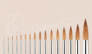 Beautiful pointing Kolinsky Sable artist brushes by Rosemary & Co