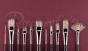 ROSEMARY & CO Set 170 - Master's Choice for Oils - Badger - Long Handle (11 Brushes)