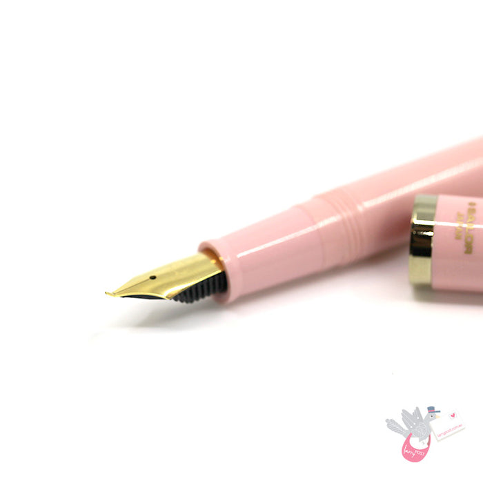 SAILOR Sketch Kit (Fude, Converter, DA Permanent Black, Blunt Syringe) - 40 Degree - Pink