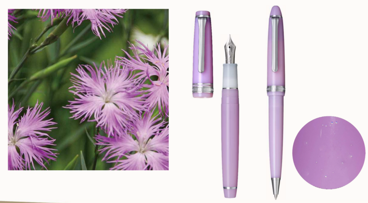 SAILOR Shikiori PG Slim (14k nib & converter) - Dianthus (Autumn) - Pink/Rhodium - Medium Fine Nib