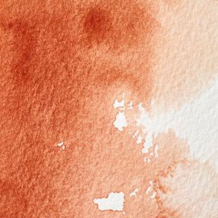 WINSOR & NEWTON Professional Water Colour - 14mL - 074 Burnt Sienna (PR101)