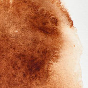 WINSOR & NEWTON Professional Watercolour - 14mL - Burnt Umber