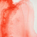 WINSOR & NEWTON Professional Watercolour - 14mL - Cadmium Scarlet
